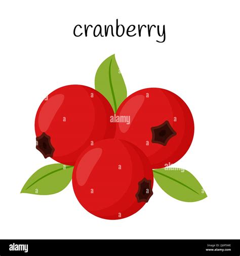 Harvest berry fruit Stock Vector Images - Alamy