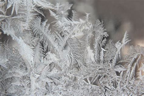 Variety of Frost Patterns on a Winter Window Stock Image - Image of frost, cool: 78173645