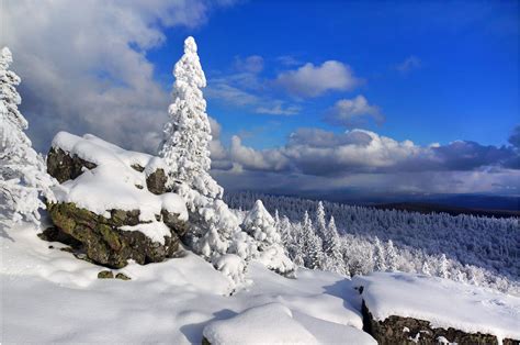 Snowy winter in the Southern Urals, Russia Asia, Beautiful Landscapes, Snowy, Places To Visit ...