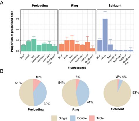 Influence of the method of transfection on plasmid uptake. (A) Shows ...