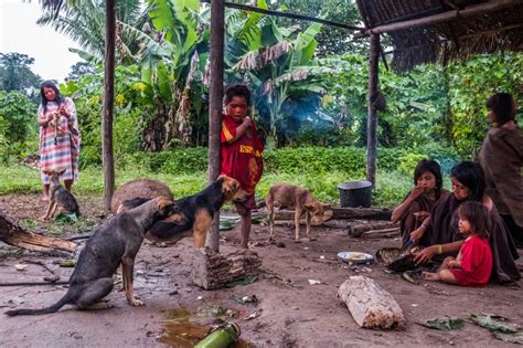 Jason Houston, photographer | AMAZON'S ISOLATED TRIBES