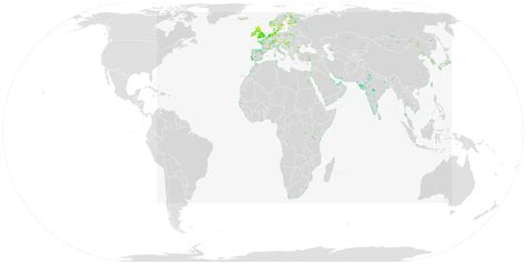 Eurasian curlew - Facts, Diet, Habitat & Pictures on Animalia.bio