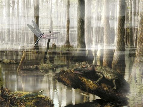 Carboniferous Period information and Prehistoric Facts | National Geographic