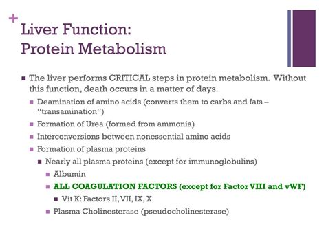 PPT - Liver Disease PowerPoint Presentation, free download - ID:1948742