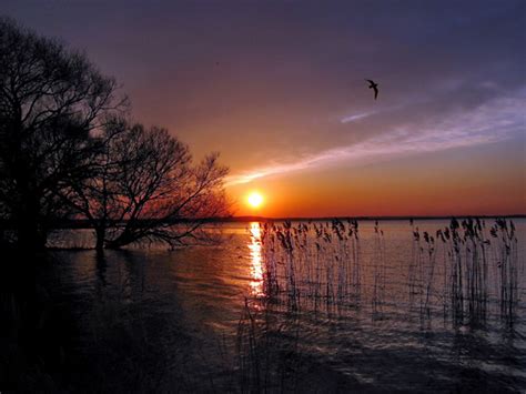 Amazing nature of Belarus » Land Of Ancestors - Belarus