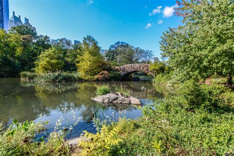 The Gapstow Bridge in Central Park