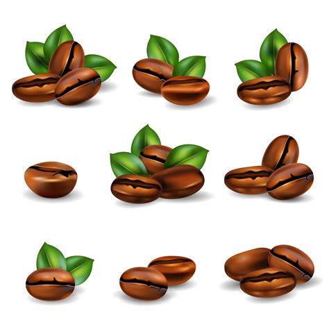 Coffee Beans Realistic Set 480830 Vector Art at Vecteezy