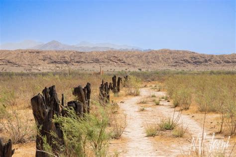 St. Thomas Ghost Town - NEVADA GHOST TOWNS & BEYOND