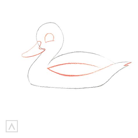 How to Draw a Duck the Easy Way | Easy 9-Step Duck Drawing – Arteza.com