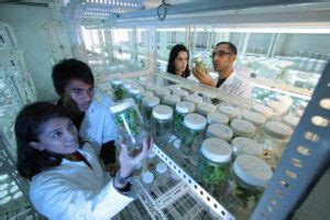 Agricultural Biotechnology Benefits, and Applications | Agri Farming