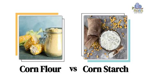 Corn Flour vs Corn Starch: Key Differences, Nutritional Profile, Flavor ...