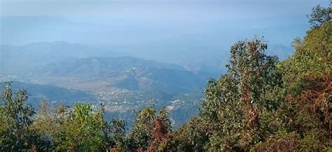 5 Star Hotels in Ranikhet, Almora | Expedia