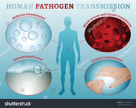 4,544 Pathogen Transmission Images, Stock Photos & Vectors | Shutterstock