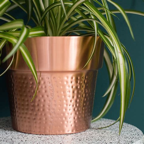 Jacob Copper Plant Pot | Audenza