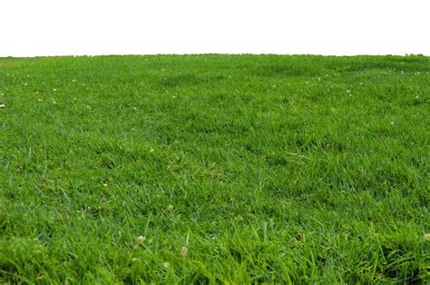 Field clipart pasture, Field pasture Transparent FREE for download on WebStockReview 2024