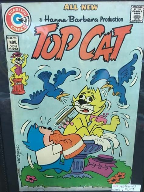 Top Cat no. 20 #Charlton #comic #book #HannaBarbera | Cat top, Favorite cartoon character ...