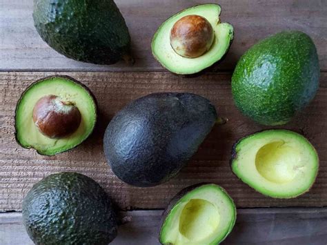 20 Awesome Avocado Varieties (Type A & Type B Avocados Explained) ~ Homestead and Chill