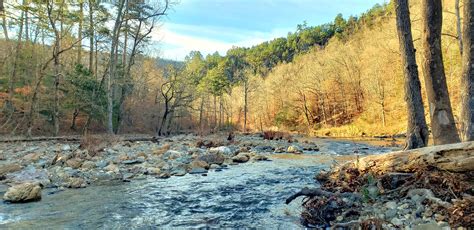 Found some true solitude in the Ouachita National Forest : r/WildernessBackpacking