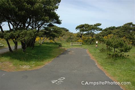 Nehalem Bay State Park - Campsite Photos, Availability Alerts