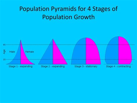 PPT - Population Geography PowerPoint Presentation, free download - ID:2186104