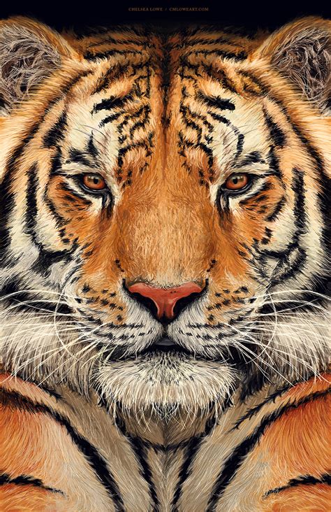 Panthera Tigris by cmloweart on DeviantArt