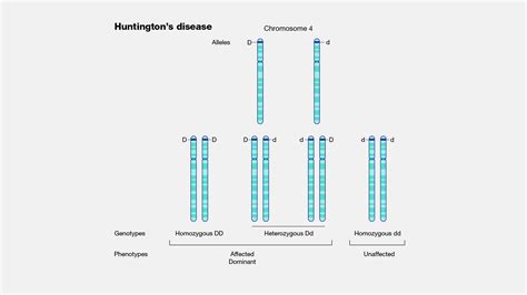 Huntington's Disease