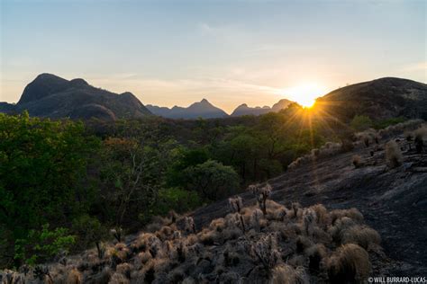 Niassa Reserve | Photos Pictures Images