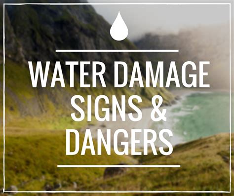 Water Damage Signs and Dangers in Toronto