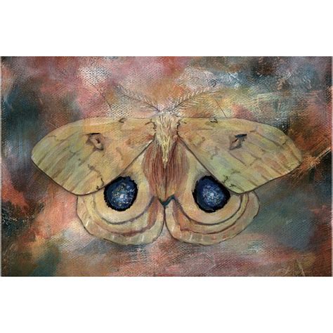 Vintage Io Moth - 20x30 inch