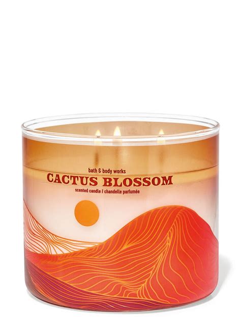 Cactus Blossom 3-Wick Candle | Bath and Body Works