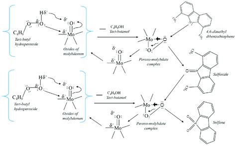 Simplistic mechanism for the oxidation of sulphur containing compounds... | Download Scientific ...