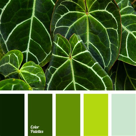 bright green | Page 7 of 13 | Color Palette Ideas