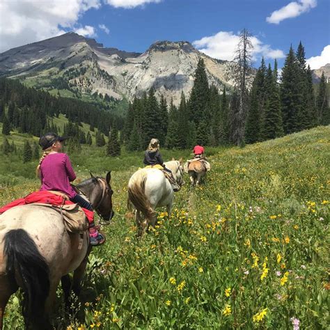 How To Find The Best Horseback Riding in Jackson Hole | Shoal Creek ...