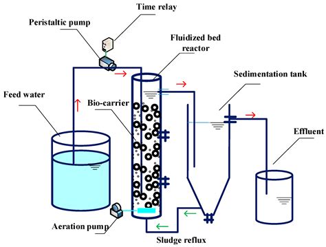 Water | Free Full-Text | Research on Biological Fluidized Bed System Treatment Performance and ...