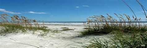 Cumberland Island National Seashore