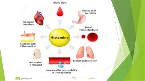 H1 & h2 receptor blockers