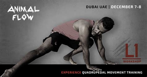 Animal Flow Level 1 Dubai (Dec) - Animal Flow