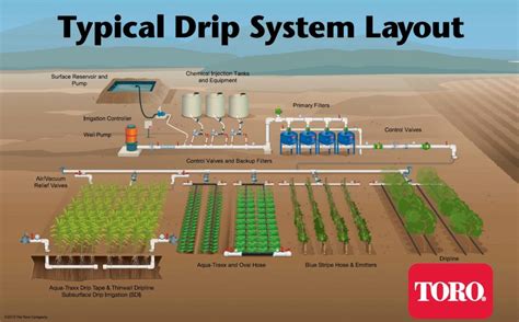 Typical Drip Irrigation Layout | DripTips by Toro Ag