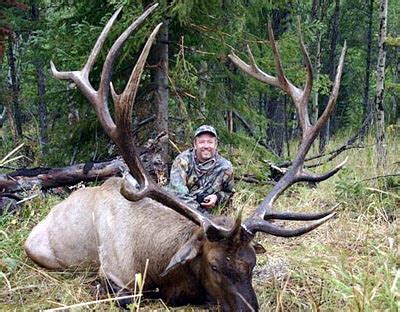 AMAZING WORLD RECORD BULL ELK