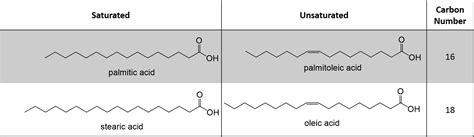 Organic Chemistry of Lipids | Organic Chemistry Help