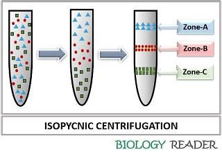 What is Centrifugation Method? Definition, Principle, Types & Uses - Biology Reader