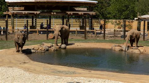 African Savanna - Zoo Atlanta