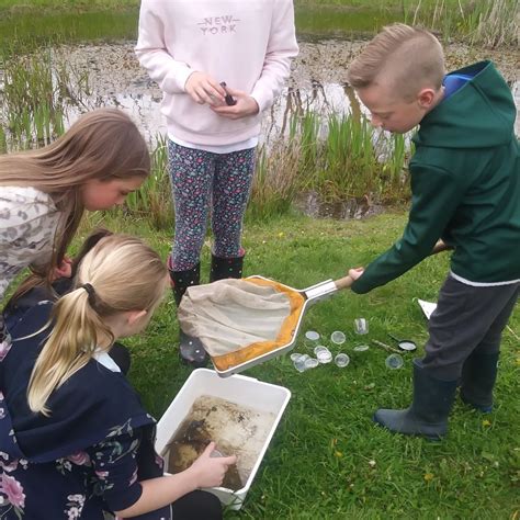 Amy Acorn's Forest School & Outdoor Activities | Sudbury, Suffolk