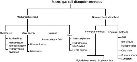 5 Microalgae cell disruption methods. | Download Scientific Diagram