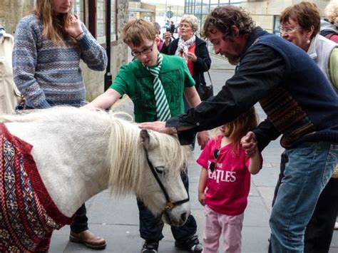 Shetland ponies in sweaters go to Lerwick | My Shetland