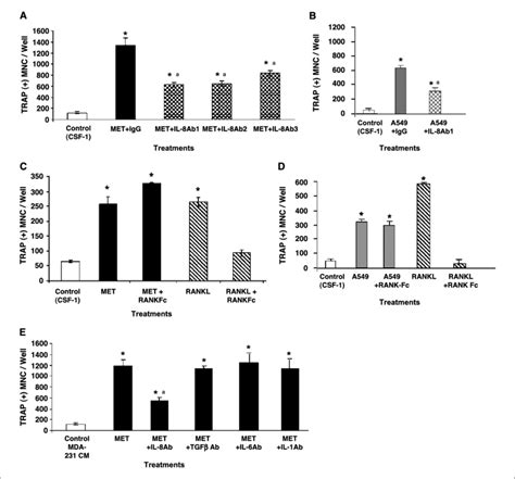 Only IL-8 antibody inhibits osteoclast formation. A, a selection of... | Download Scientific Diagram