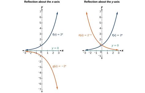 Stretching, Compressing, or Reflecting an Exponential Function ...