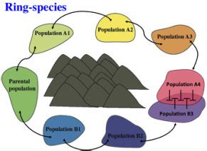 Ring-species - The Cacho Lab