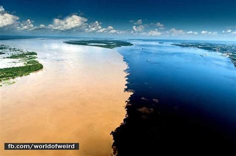 “Meeting of the waters”, the Amazon River meets the rio Negro in Brazil ...