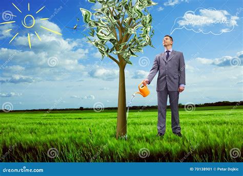 Image Of Businessman Watering Money Tree Stock Photo - Image: 70138901